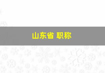 山东省 职称